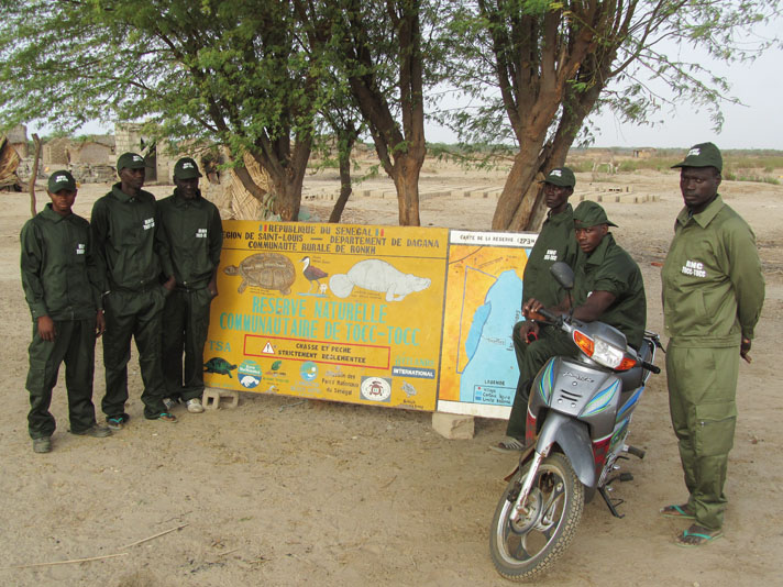 A group of “eco-guards” at the Tocc Tocc Refuge Lac de Guiers in Senegal, next to a panel erected as part of the ACI’s Adanson’s mud terrapin conservation project.