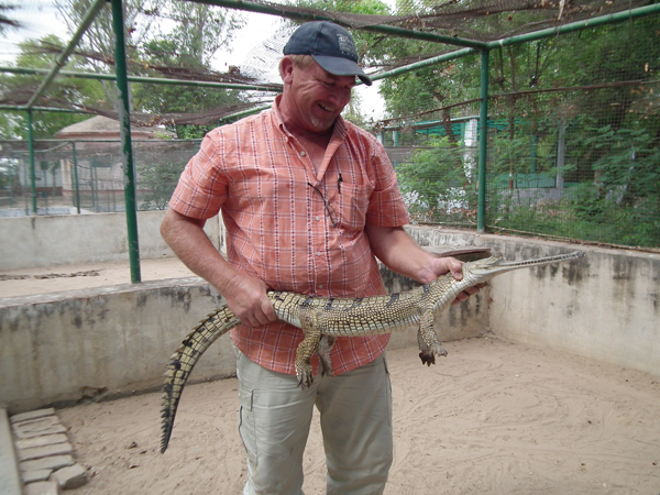 gharial