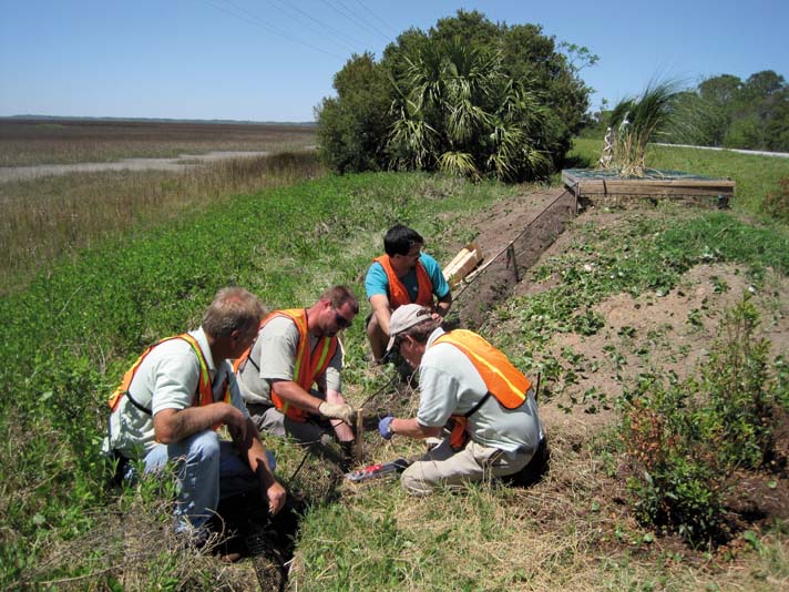 Researchers in Georgia install fencing along the Jekyll Island causeway to help curb terrapin road fatalities.