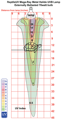 reptile lighting reptile lighting