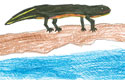 HerpKidz Herp Art Entries October 2008