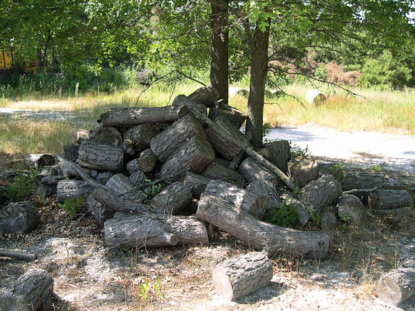 backyard logs