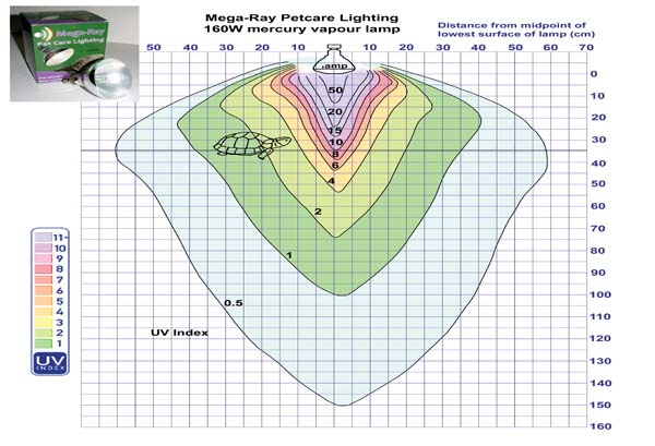 Figure 6E Mega-Ray Petcare Lighting 160W mercury vapour lamp.