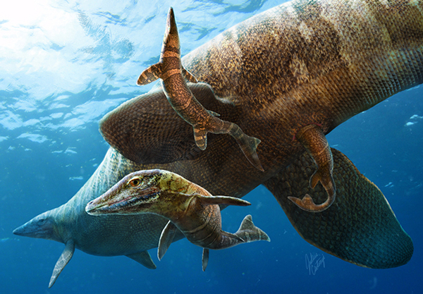 Mosasaur’s Gave Birth In The Ocean And Not Land As Previously Thought