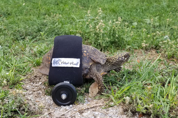 Scoot Reeves