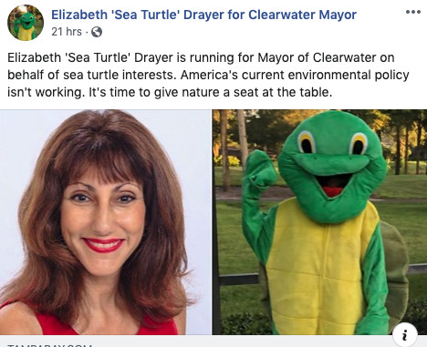 Elizabeth sea turtle drayer