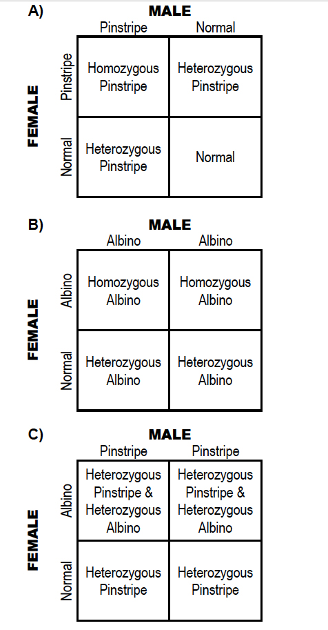 figure 1 reptile genetics