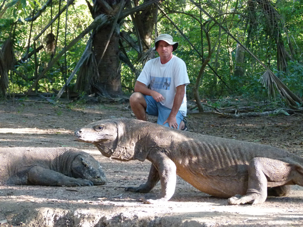 Komodo dragon