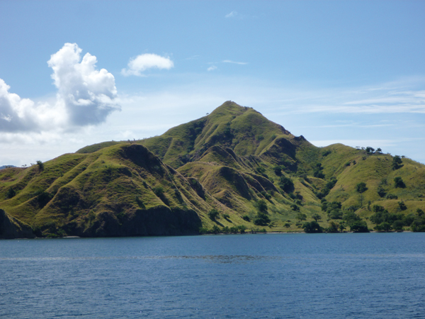 Komodo island