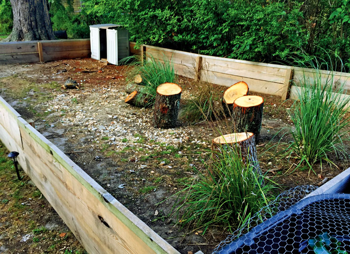 Outdoor enclosure for leopard tortoises.