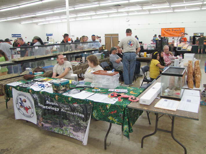 Reptile clubs at reptile expos are a good way to network.