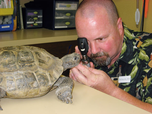 turtle veterinarians near me