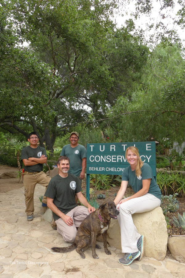 Turtle conservancy