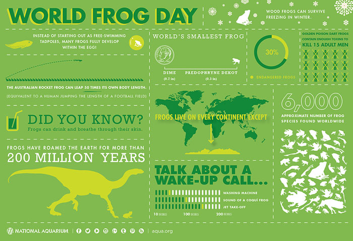 World Frog Day