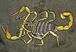 Scorpion Embroidered Cap