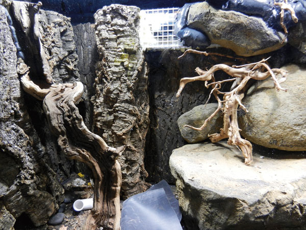 Vivarium water features