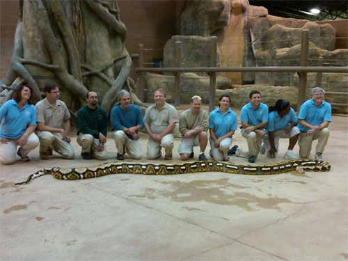 Fluffy the python