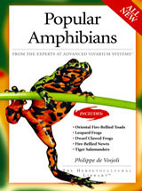 popular amphibians Popular Amphibians