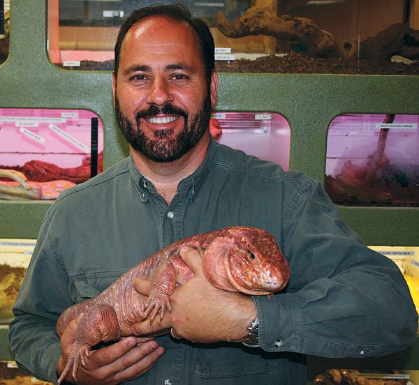 13 Tips To Better Reptile Handling Reptiles Magazine
